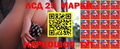 метадон Ярославль
