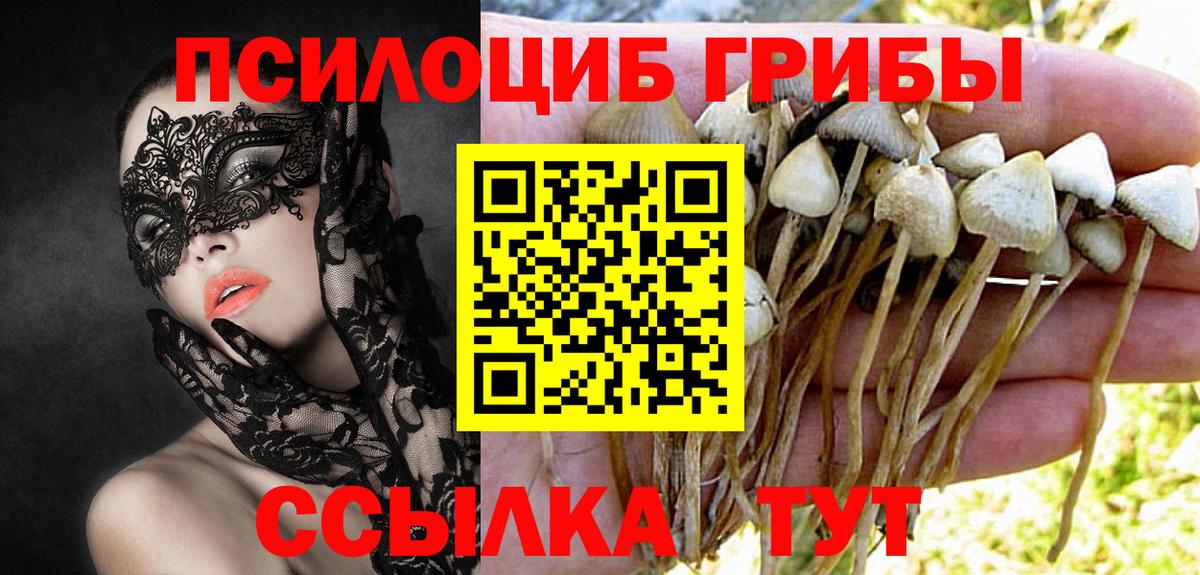 Псилоцибиновые грибы Cubensis  Вход с VPN  Галлюциногенные грибы мицелий  Кушва 